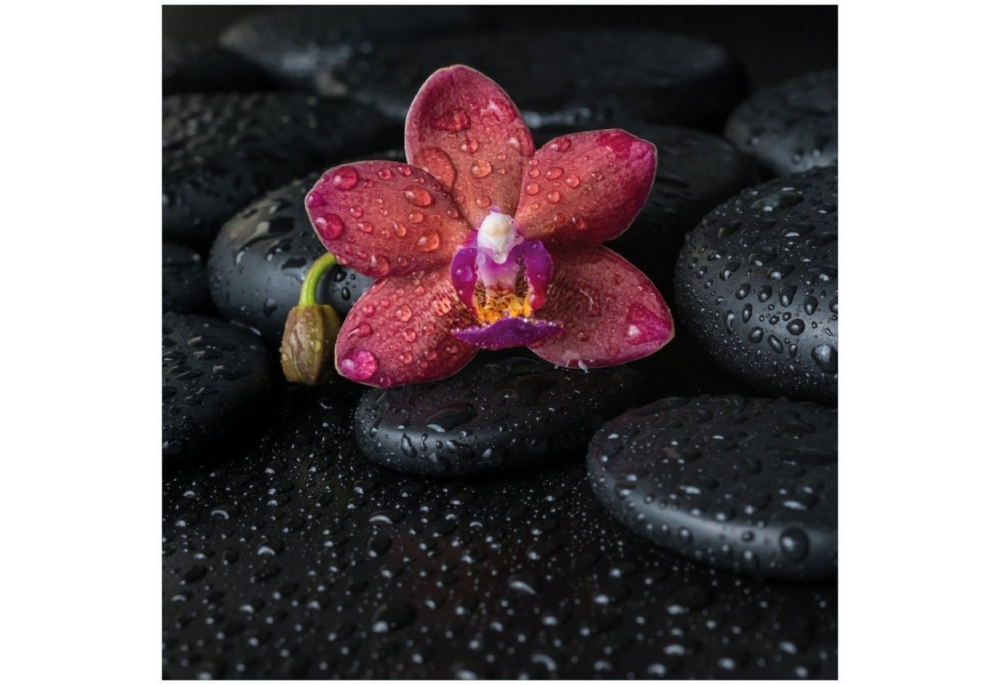 Wallario Memoboard Orchideen-Blüte auf schwarzen Steinen, benetzt mit Wasser-Tropfen von Wallario