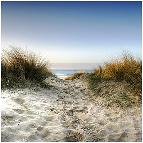 Wallario Memoboard aus Glas mit Motiv, Magnet-Tafel in 50 x 50 cm in Premium Qualität Weg durch die Dünen zum Strand am Meer von Wallario