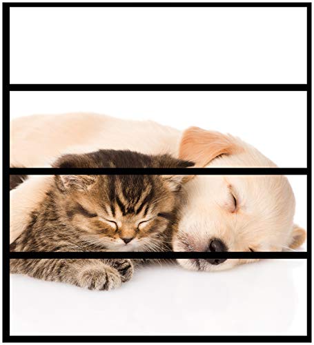 Wallario Möbelfolie/Aufkleber, geeignet für IKEA Malm Kommode mit 4 Schubfächern - Klebefolie Katze und Hund in Harmonie - Kuschelnde Tiere Wallario Möbelfolie/Aufkleber, geeignet für IKEA Malm Kommode mit 4 Schubfächern - Klebefolie Katze und Hund in Harmonie - Kuschelnde Tiere von Wallario
