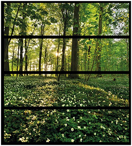 Wallario Möbelfolie/Aufkleber, geeignet für IKEA Malm Kommode mit 4 Schubfächern - Klebefolie Waldanemonen und Sonnenstrahlen im Wald Wallario Möbelfolie/Aufkleber, geeignet für IKEA Malm Kommode mit 4 Schubfächern - Klebefolie Waldanemonen und Sonnenstrahlen im Wald von Wallario