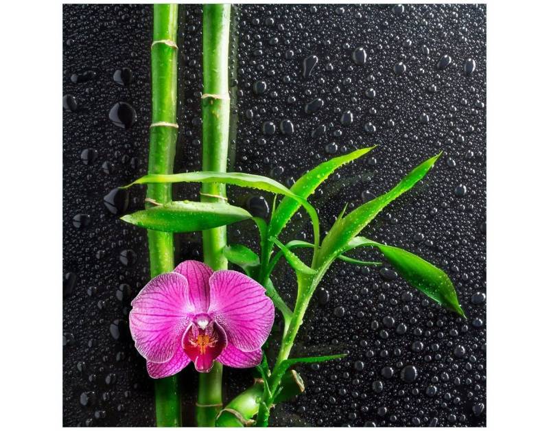 Wallario Möbelfolie Bambus und pinke Orchidee auf schwarzem Glas mit Regentropfen von Wallario