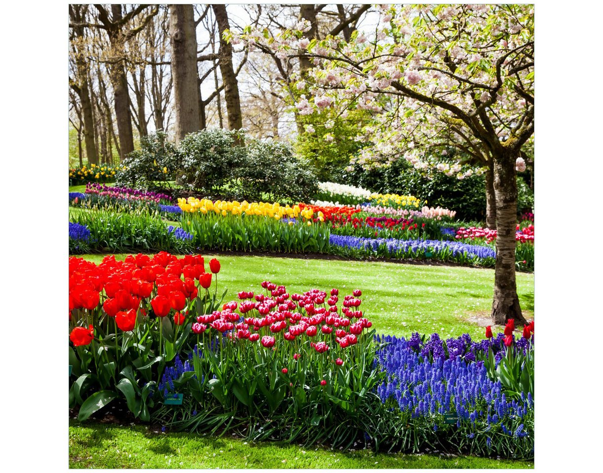 Wallario Möbelfolie Bunte Blumen und Kirsch-Baum im Park blühen im Frühling von Wallario