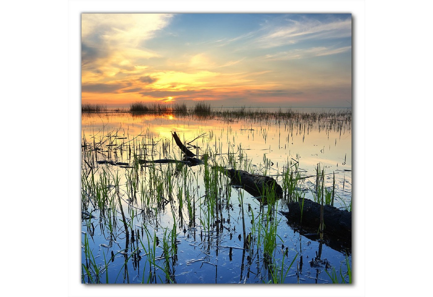 Wallario Möbelfolie Schilf am Abend - Sonnenuntergang über der Seelandschaft von Wallario