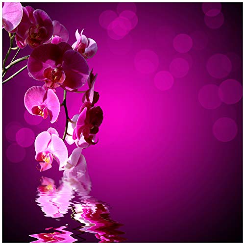 Wallario Möbelfolie selbstklebend/Aufkleber, Tischfolie geeignet für IKEA Lack Tisch - Möbeldeko Rosafarbene Orchidee Blüten in pink in 55 x 55 cm Wallario Möbelfolie selbstklebend/Aufkleber, Tischfolie geeignet für IKEA Lack Tisch - Möbeldeko Rosafarbene Orchidee Blüten in pink in 55 x 55 cm von Wallario