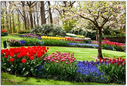 Wallario Outdoor-Poster für Garten oder Balkon Bunte Blumen und Kirsch-Baum im Park blühen im Frühling, Motivbanner Größe: ca. 60 x 90 cm, Outdoor-Bild von Wallario