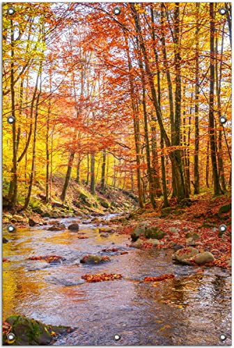 Wallario Outdoor-Poster für Garten oder Balkon Herbstwald mit Bach, Motivbanner Größe: ca. 80 x 120 cm, Outdoor-Bild von Wallario