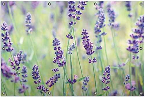 Wallario Outdoor-Poster für Garten oder Balkon Lila Blumenfreude - Violette Pflanzen auf der Wiese, Motivbanner Größe: ca. 100 x 150 cm, Outdoor-Bild von Wallario