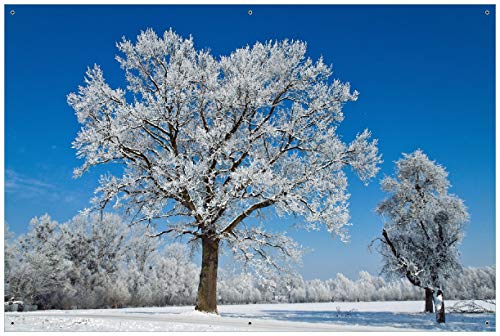 Wallario Outdoor-Poster für Garten oder Balkon Schneebedeckter Baum mit blauen Himmel, Motivbanner Größe: ca. 60 x 90 cm, Outdoor-Bild von Wallario