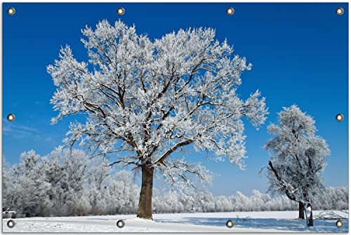 Wallario Outdoor-Poster für Garten oder Balkon Schneebedeckter Baum mit blauen Himmel, Motivbanner Größe: ca. 80 x 120 cm, Outdoor-Bild von Wallario