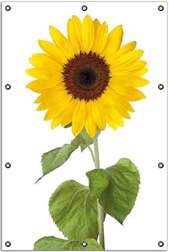 Wallario Outdoor-Poster für Garten oder Balkon Sonnenblume, Motivbanner Größe: ca. 80 x 120 cm, Outdoor-Bild von Wallario