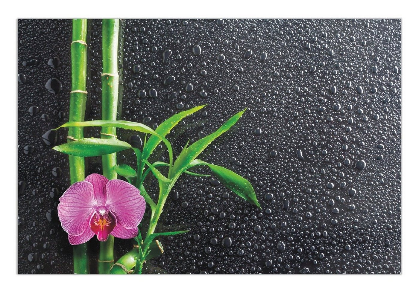 Wallario Poster, Bambus und pinke Orchidee auf schwarzem Glas mit Regentropfen, in verschiedenen Ausführungen Wallario Poster, Bambus und pinke Orchidee auf schwarzem Glas mit Regentropfen, in verschiedenen Ausführungen von Wallario