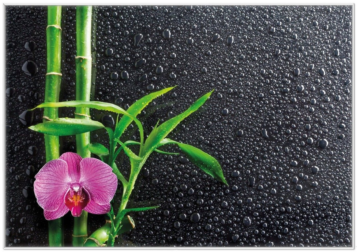 Wallario Poster, Bambus und pinke Orchidee auf schwarzem Glas mit Regentropfen, in verschiedenen Ausführungen Wallario Poster, Bambus und pinke Orchidee auf schwarzem Glas mit Regentropfen, in verschiedenen Ausführungen von Wallario