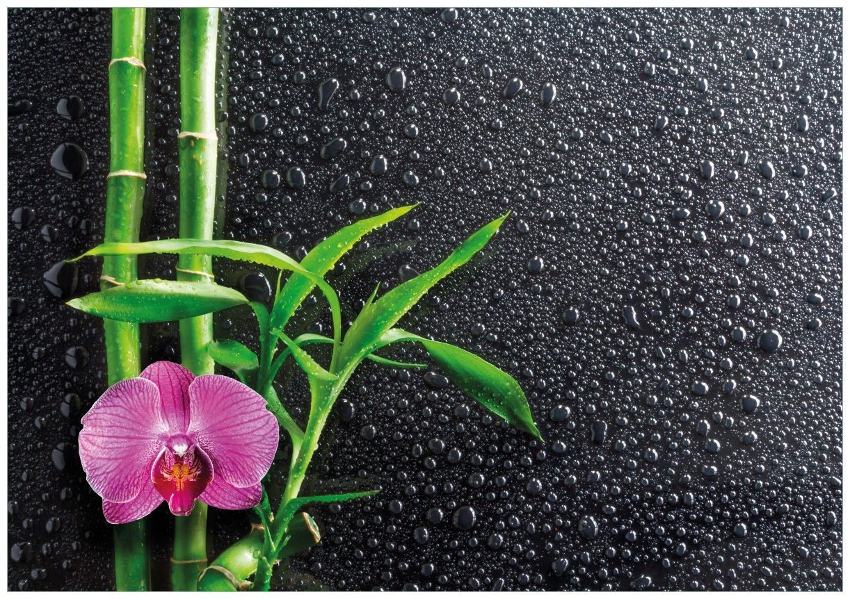 Wallario Poster, Bambus und pinke Orchidee auf schwarzem Glas mit Regentropfen, in verschiedenen Ausführungen Wallario Poster, Bambus und pinke Orchidee auf schwarzem Glas mit Regentropfen, in verschiedenen Ausführungen von Wallario