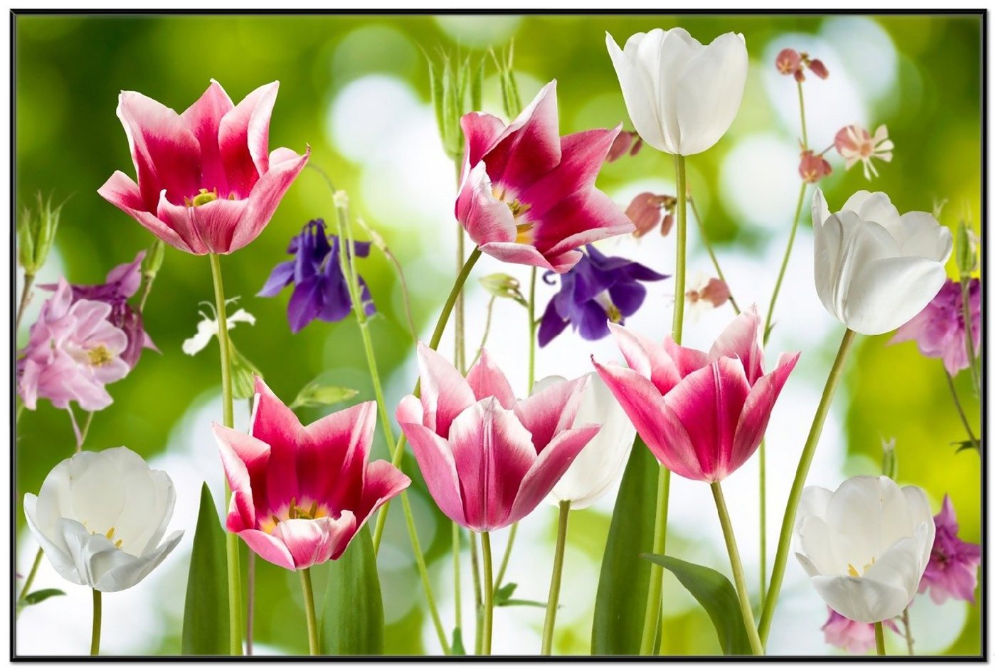 Wallario Poster, Blühende Blumen im Frühling in pink und weiß, in verschiedenen Ausführungen von Wallario