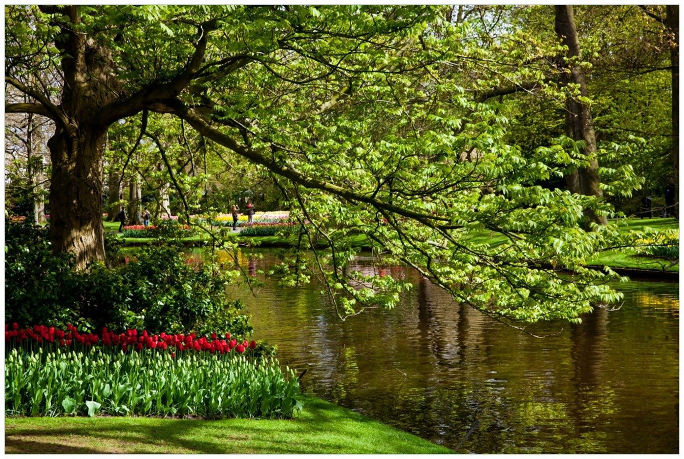 Wallario Poster, Bunte Blumen im Park am Wasser - Frühblüher am Ufer, in verschiedenen Ausführungen von Wallario