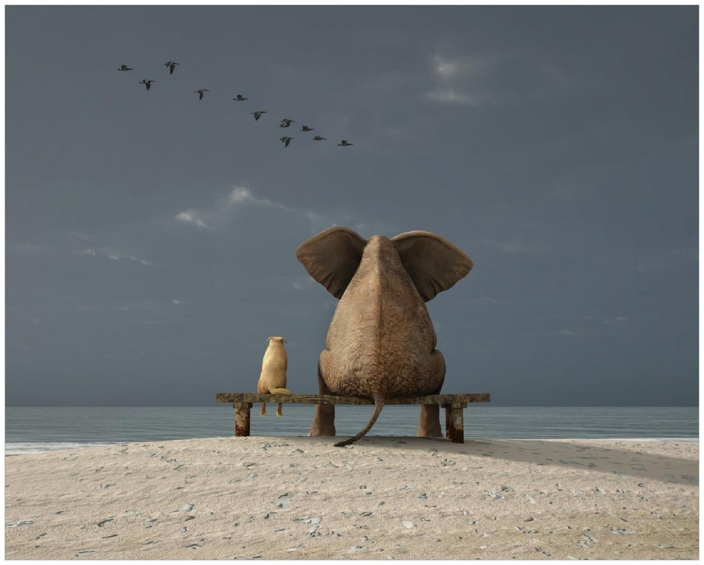 Wallario Poster, Elefant und Hund sitzen auf einer Bank, in verschiedenen Ausführungen Wallario Poster, Elefant und Hund sitzen auf einer Bank, in verschiedenen Ausführungen von Wallario