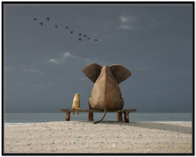 Wallario Poster, Elefant und Hund sitzen auf einer Bank, in verschiedenen Ausführungen von Wallario