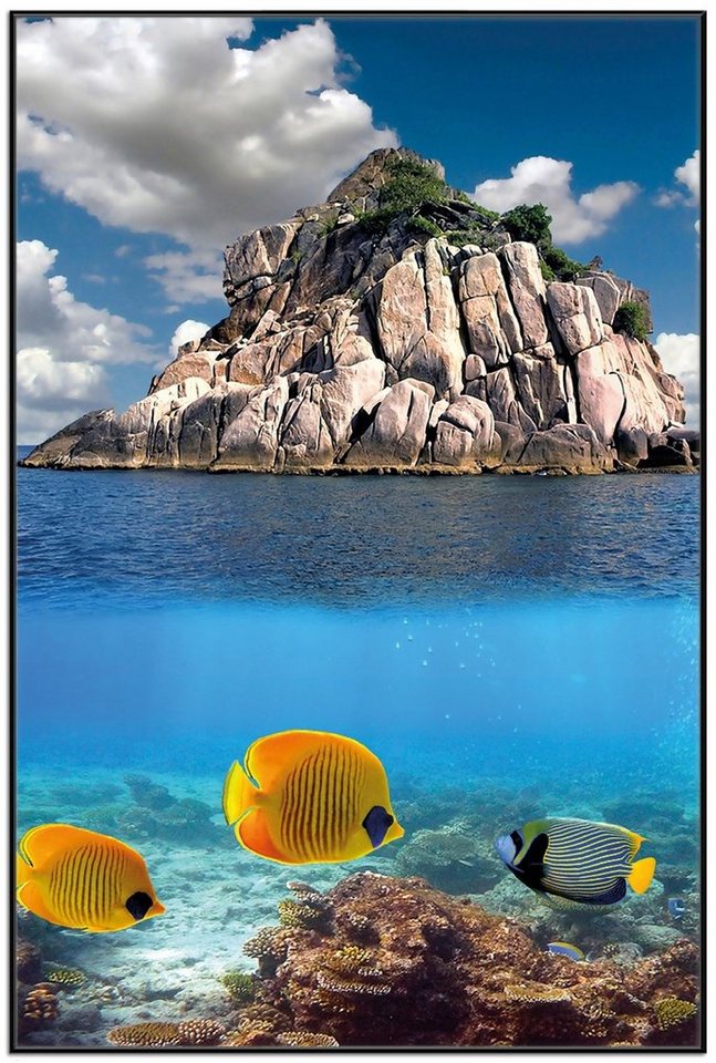 Wallario Poster, Exotische Fische im Meer, in verschiedenen Ausführungen von Wallario