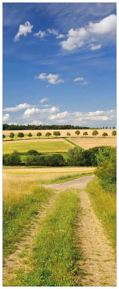 Wallario Poster, Feldlandschaft unter blauem Himmel, in verschiedenen Ausführungen von Wallario