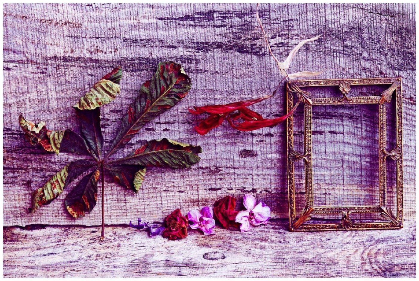 Wallario Poster, Getrocknete Blätter - Herbst Stillleben in lila, in verschiedenen Ausführungen Wallario Poster, Getrocknete Blätter - Herbst Stillleben in lila, in verschiedenen Ausführungen von Wallario
