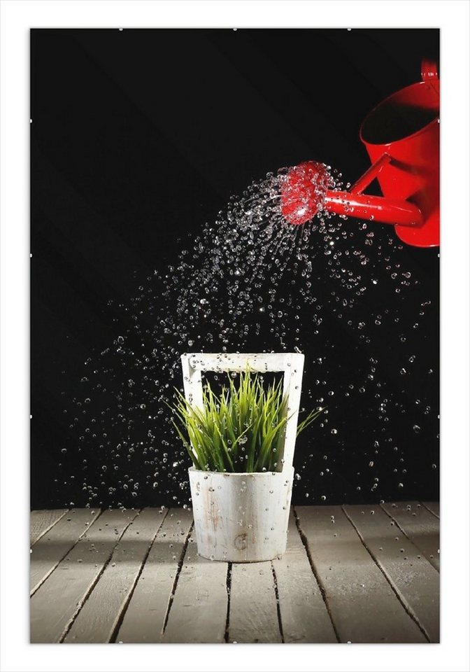 Wallario Poster, Grüne Pflanze mit roter Gießkanne, in verschiedenen Ausführungen von Wallario