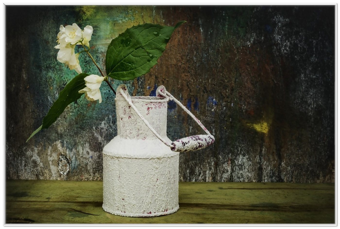 Wallario Poster, Jasmin Blumen in einer alten Milchkanne, in verschiedenen Ausführungen von Wallario