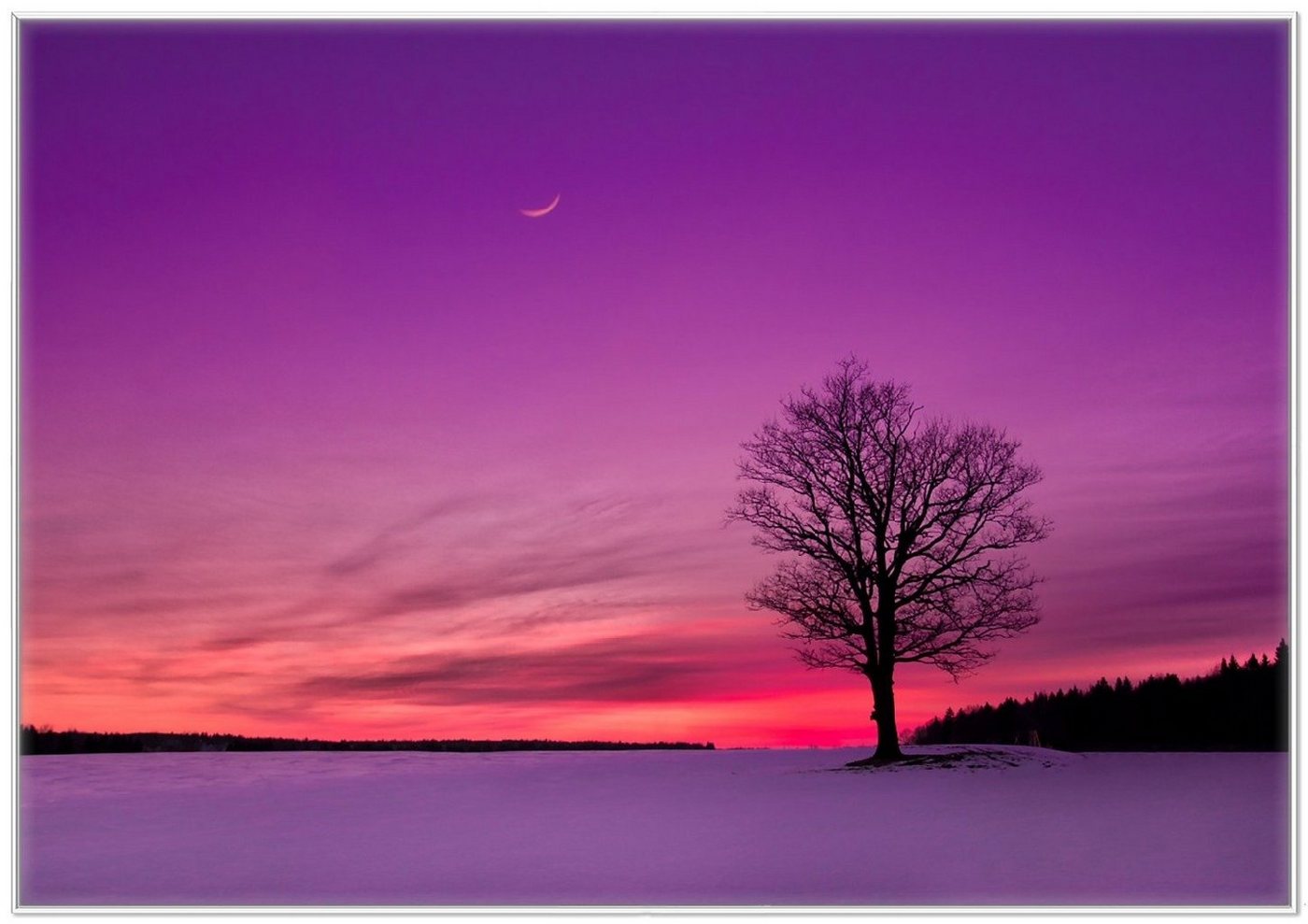 Wallario Poster, Mond und Baum am Abend bei Schnee, in verschiedenen Ausführungen von Wallario