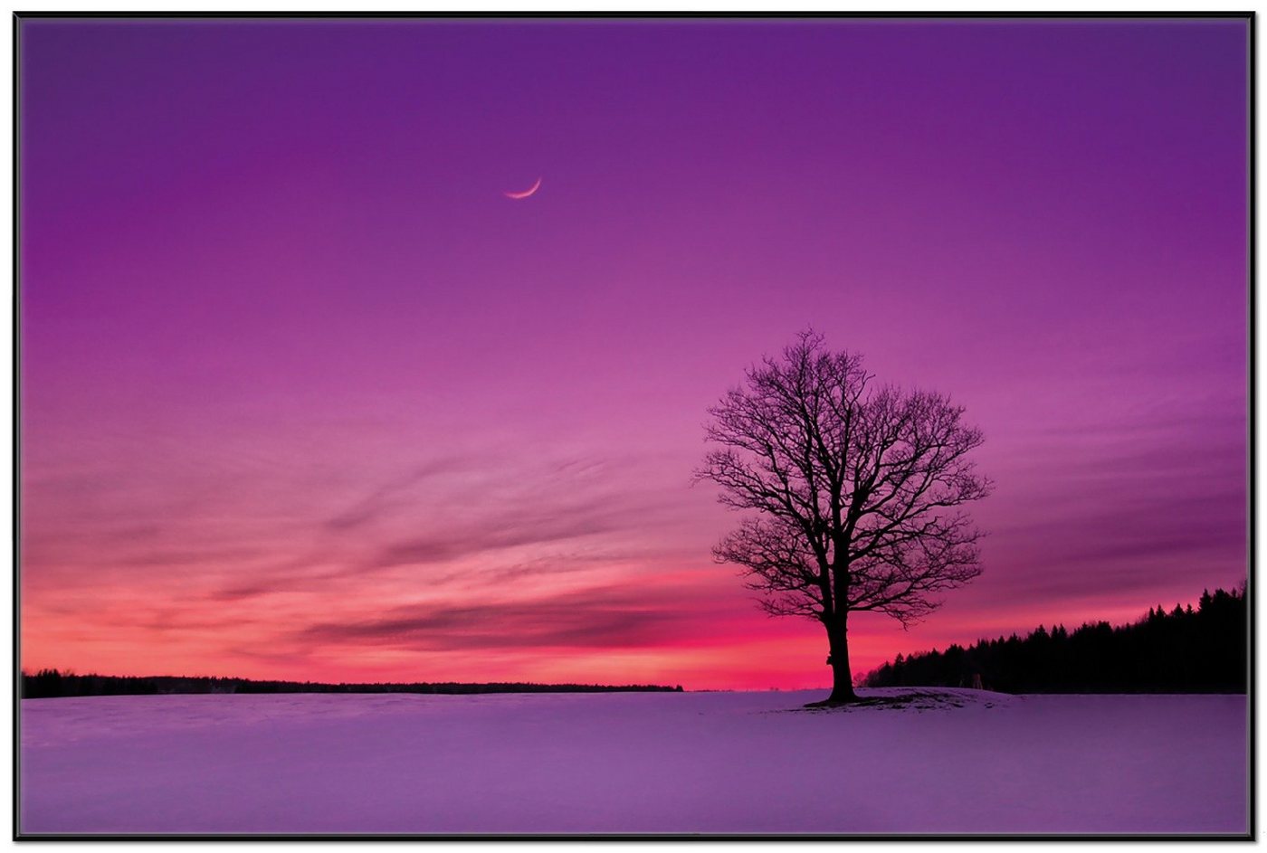 Wallario Poster, Mond und Baum am Abend bei Schnee, in verschiedenen Ausführungen von Wallario