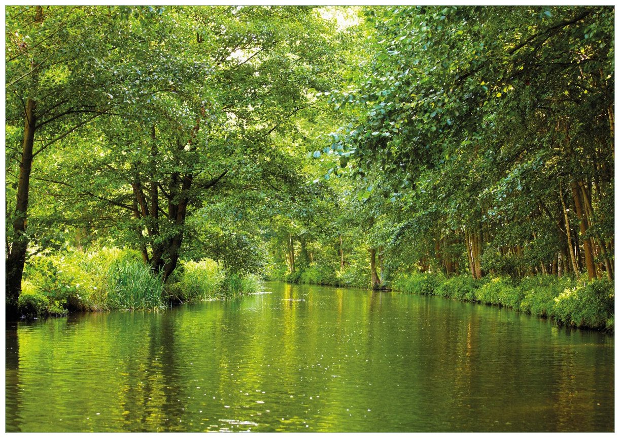 Wallario Poster, Spreewald in Brandenburg grüne Wälder und Spiegelungen im Wasser, in verschiedenen Ausführungen von Wallario