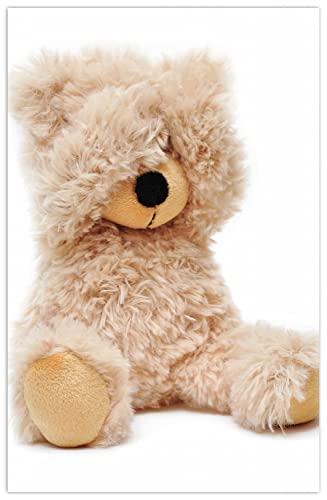 Wallario Rutschfester, Teppich mit Motiv - Fußmatte Süßer Teddybär, Größe 90 x 140 cm - flachgewebt von Wallario