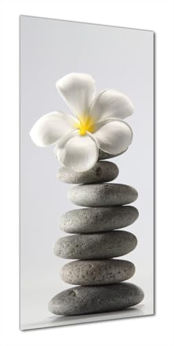 Wallario Selbstklebende Duschrückwand 80 x 200 cm mit Motiv Blume auf gestapelten Steinen - Wandverkleidung Fließenersatz mit Hochglanzlaminat in Glasoptik von Wallario