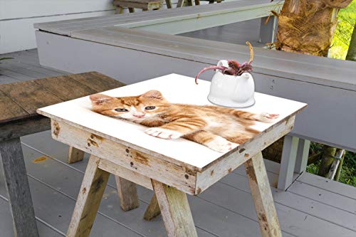 Wallario Selbstklebende Möbelfolie/Tischdecke für Innen und Außen, Größe: 100 x 100 cm - Süße Katze mit großen Augen - rot weiß getigert von Wallario