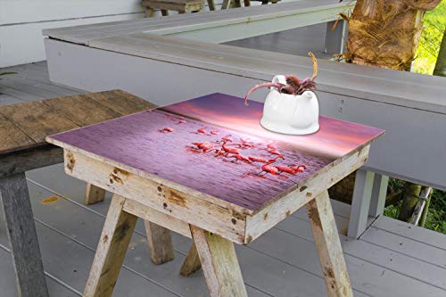 Wallario Selbstklebende Möbelfolie/Tischdecke für Innen und Außen, Größe: 50 x 50 cm - Rosa Flamingos bei Sonnenuntergang von Wallario