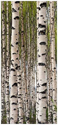 Wallario Selbstklebende Türtapete Birkenwald - Baumstämme in schwarz weiß - Türposter 93 x 205 cm Abwischbar, rückstandsfrei zu entfernen von Wallario