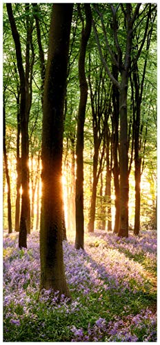 Wallario Selbstklebende Türtapete Blaue Hasenglöckchen im Wald mit Sonnenstrahlen - Türposter 93 x 205 cm Abwischbar, rückstandsfrei zu entfernen von Wallario