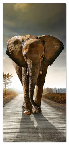 Wallario Selbstklebende Türtapete Elefant bei Sonnenaufgang in Afrika - Türposter 93 x 205 cm Abwischbar, rückstandsfrei zu entfernen von Wallario