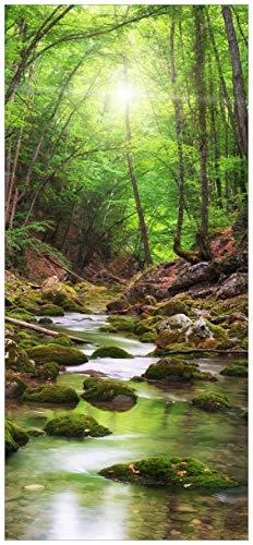 Wallario Selbstklebende Türtapete Fluss im Wald - Türposter 93 x 205 cm Abwischbar, rückstandsfrei zu entfernen von Wallario