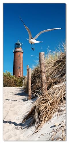 Wallario Selbstklebende Türtapete Möwe am Strand mit Leuchtturm - Türposter 93 x 205 cm Abwischbar, rückstandsfrei zu entfernen Wallario Selbstklebende Türtapete Möwe am Strand mit Leuchtturm - Türposter 93 x 205 cm Abwischbar, rückstandsfrei zu entfernen von Wallario