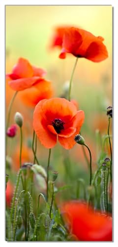 Wallario Selbstklebende Türtapete Mohnblumenblüten - Türposter 100 x 220 cm Abwischbar, rückstandsfrei zu entfernen von Wallario