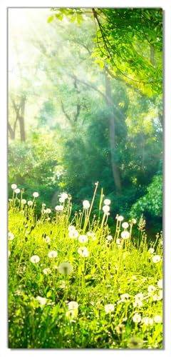 Wallario Selbstklebende Türtapete Pusteblumen im Wald mit einfallenden Sonnenstrahlen - Türposter 100 x 220 cm Abwischbar, rückstandsfrei zu entfernen von Wallario