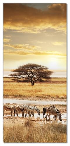 Wallario Selbstklebende Türtapete Safari in Afrika eine Herde Zebras am Wasser - Türposter 93 x 205 cm Abwischbar, rückstandsfrei zu entfernen von Wallario