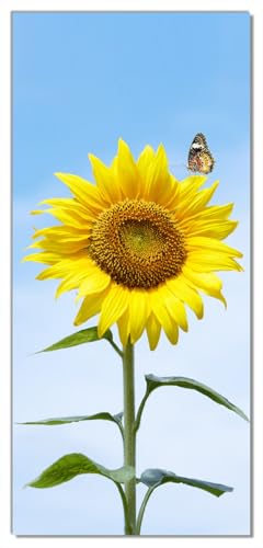 Wallario Selbstklebende Türtapete Sonnenblume mit Schmetterling - Türposter 93 x 205 cm Abwischbar, rückstandsfrei zu entfernen von Wallario