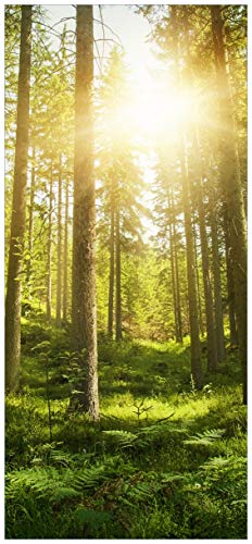 Wallario Selbstklebende Türtapete Sonnenstrahlen im Nadelwald mit Moos und Farn - Türposter 93 x 205 cm Abwischbar, rückstandsfrei zu entfernen von Wallario