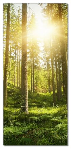 Wallario Selbstklebende Türtapete Sonnenstrahlen im Nadelwald mit Moos und Farn - Türposter 93 x 205 cm Abwischbar, rückstandsfrei zu entfernen von Wallario