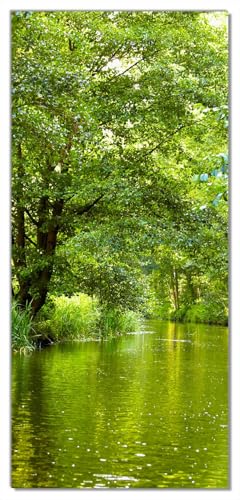 Wallario Selbstklebende Türtapete Spreewald in Brandenburg grüne Wälder und Spiegelungen im Wasser - Türposter 93 x 205 cm Abwischbar, rückstandsfrei zu entfernen von Wallario