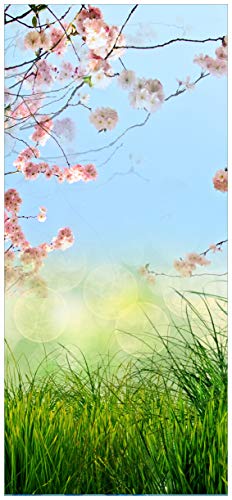 Wallario Selbstklebende Türtapete mit Schutzlaminat Kirschblütenzweige und grüne Wiese- Frühling - Türposter 93 x 205 cm Abwischbar, rückstandsfrei zu entfernen von Wallario