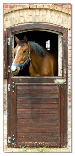 Wallario Selbstklebende Türtapete mit Schutzlaminat Pferd im Stall - Türposter 93 x 205 cm Abwischbar, rückstandsfrei zu entfernen von Wallario