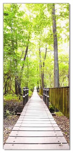 Wallario Selbstklebende Türtapete mit Schutzlaminat Spaziergang im Wald Holzweg über einen Fluss - Türposter 100 x 220 cm Abwischbar, rückstandsfrei zu entfernen von Wallario