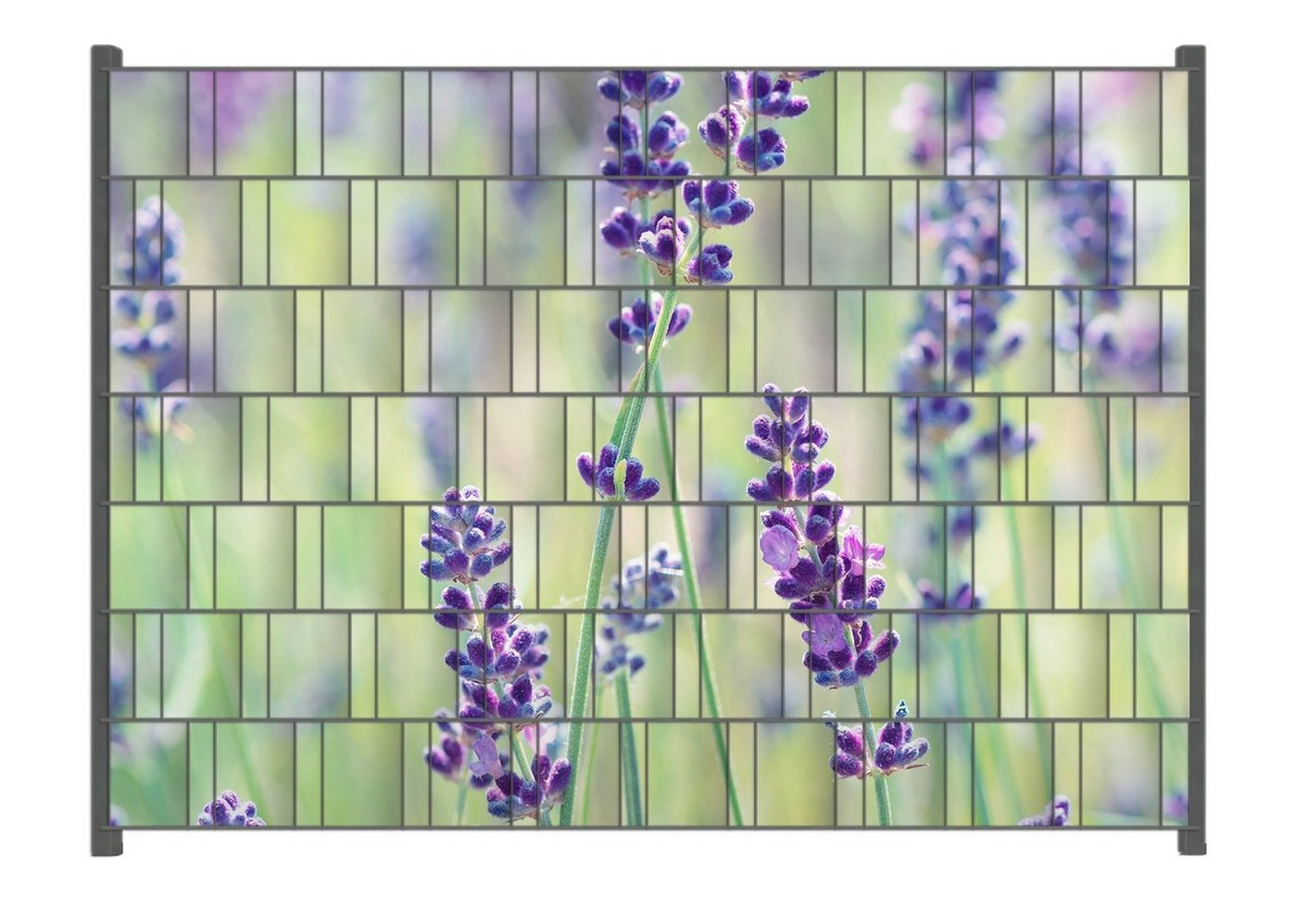 Wallario Sichtschutzstreifen Lila Blumenfreude - Violette Pflanzen auf der Wiese von Wallario