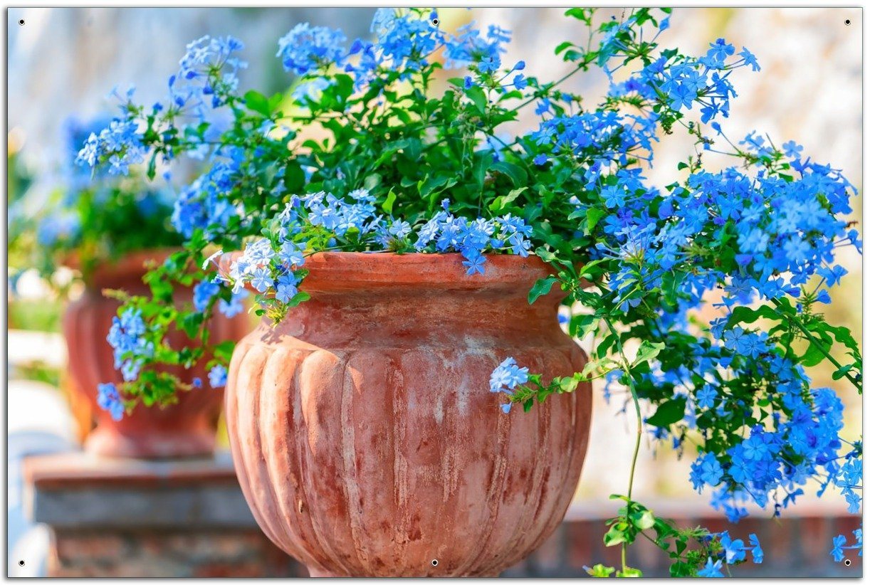 Wallario Sichtschutzzaunmatten Blaue Blumen in einer Steinvase von Wallario